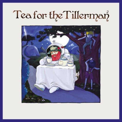 Cat Stevens - 2020 Tea For The Tillerman 2